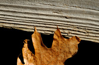 Wood & Leaf