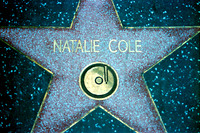 Star, Natalie Cole Hollywood California 1988