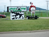 Crazy Cow 3
