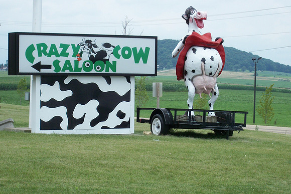 Crazy Cow 4