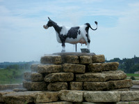 Crazy Cow 2