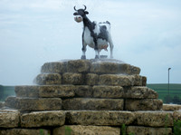 Crazy Cow Truck Stop